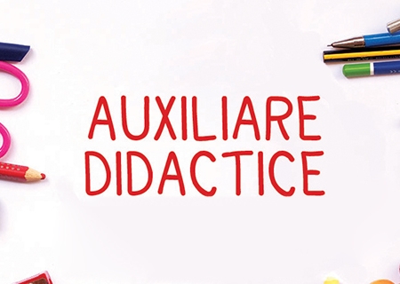 Auxiliare didactice
